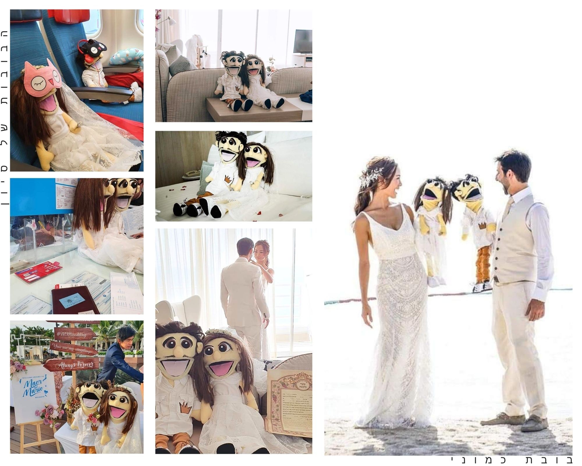 תמונה ללא תיאור